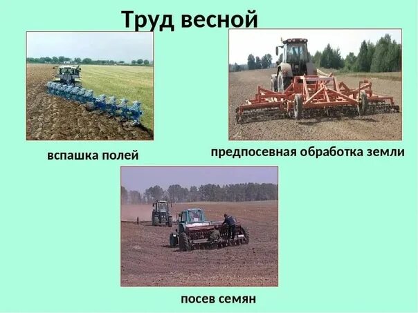 Весенние сельскохозяйственные работы старшая группа