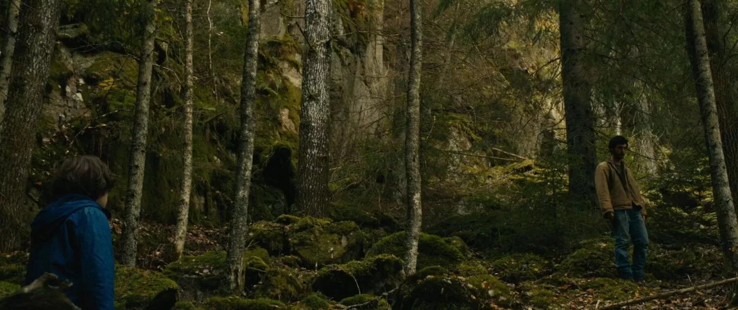 В лесу / dans la forêt (2016). Измены русских в лесу