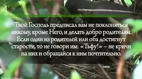 Не поклоняйся никому