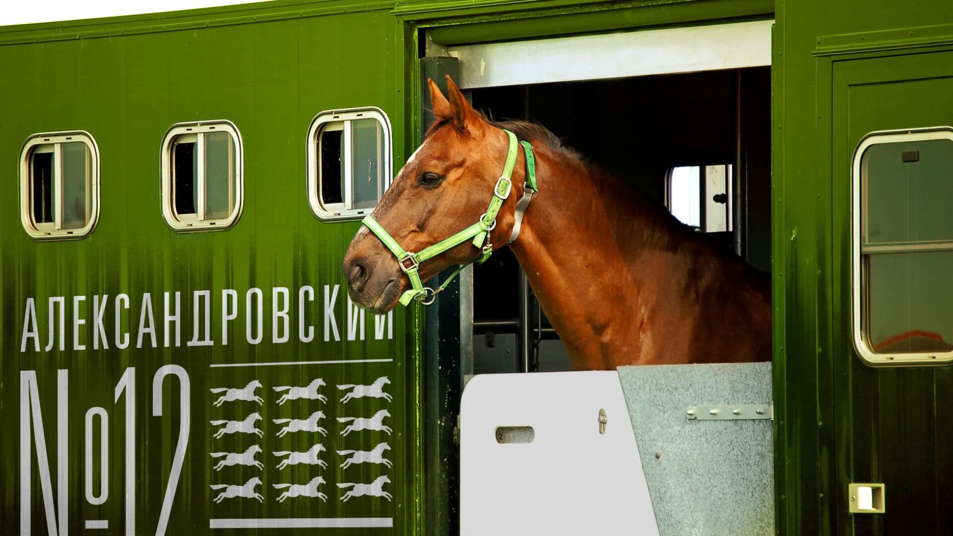 Поместье медведева в курской области мансурово. Ао агрокомплекс мансурово курск. Агрокомплекс курск. Ооо агрокомплекс мансурово. Фирма агрокомплекс выселковский.