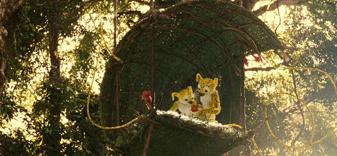 джунгли зовут в поисках марсупилами 2. мой друг марсупилами мультсериал. джунгли зовут! в поисках марсупилами (2012). джунгли зовут 2. марсупилами малыши фильм.