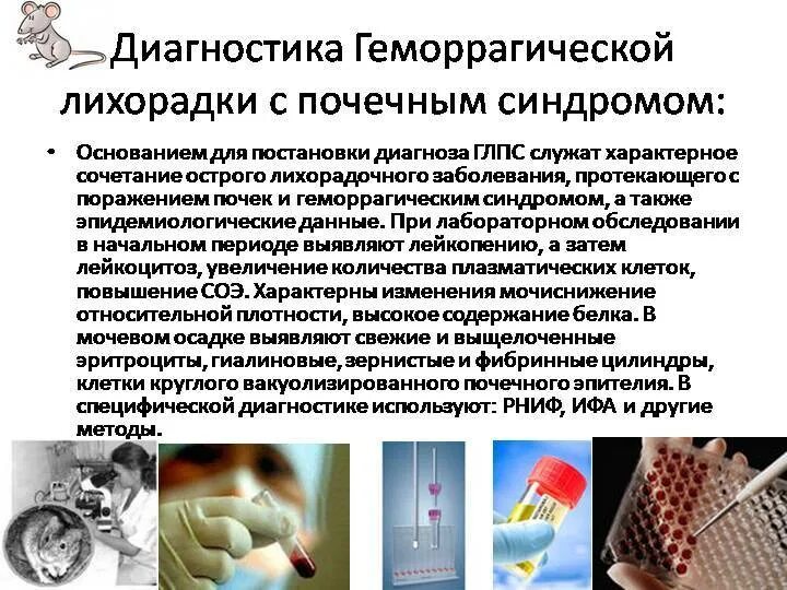 Глпс диагностика. Глпс диагноз. Глпс диагностика. Геморрагическая лихорадка с почечным синдромом диагностика. Дифференциальный диагноз глпс.