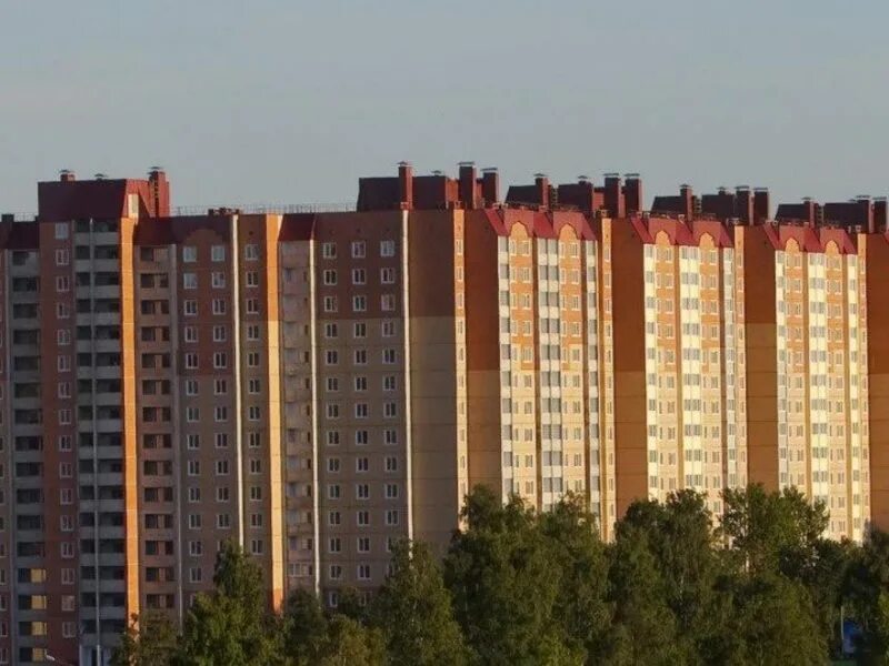 Красносельское шоссе 56 к 1. Красносельское шоссе 54 Санкт-Петербург. Горелово Санкт-Петербург Красносельский район. Горелово Красносельское шоссе. Красносельское шоссе 4