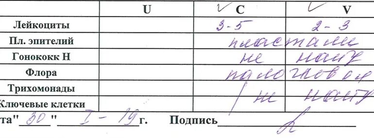 Плохой мазок у женщин. Норма мазка на гонококки Нейссера. Исследование на гонококки Нейссера. Анализ мазка на гонококки Нейссера. Исследование на гонококки расшифровка у женщин.