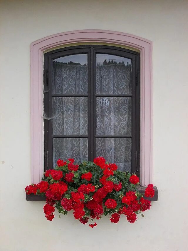 Exterior home shutters with wooden window panel design add style. The heavy fram