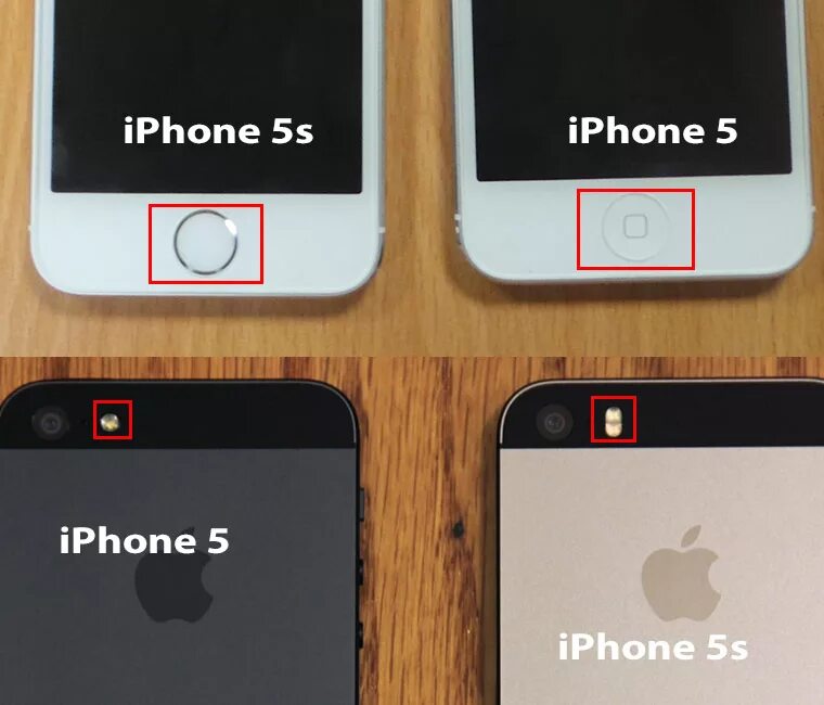 Как отличить айфоны. Айфон 5 и 5s отличия. Айфон 5 и 5s отличия внешние. Айфон 5 и айфон 5s. Iphone 5 и iphone 5s различия.