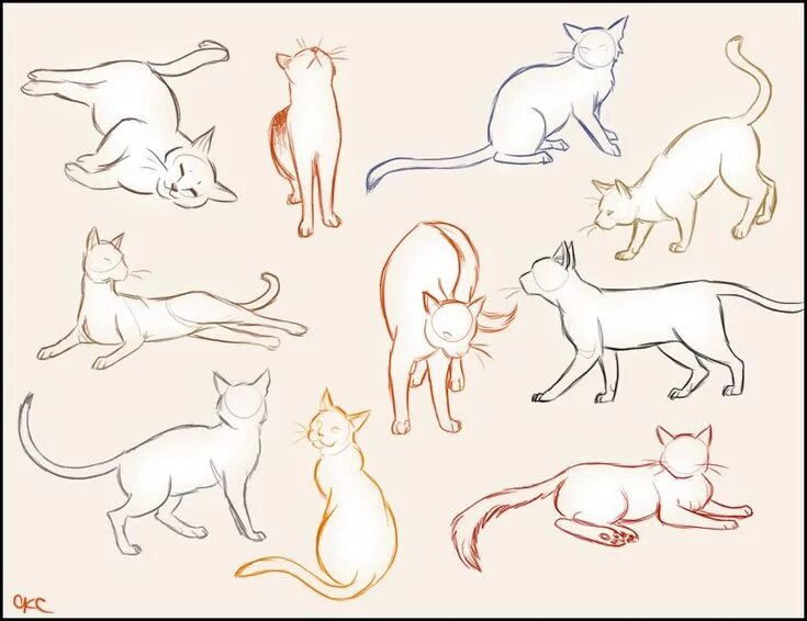 Katze zeichnung anleitung, Katze zeichnen, Illustration tiere