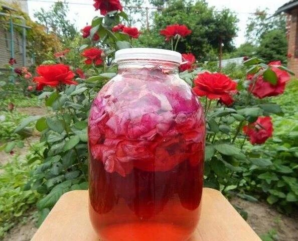 Напиток из лепестков роз. Вино из розовых лепестков. Настойка из лепестков роз. Розовое варенье. Рецепт настойки на лепестках роз.