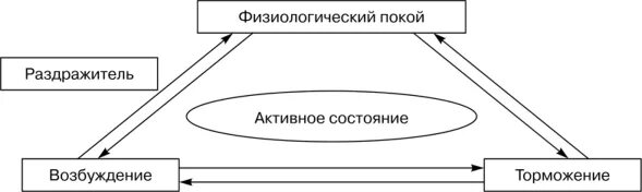 В состоянии относительного физиологического покоя. Физиологический покой. физиологическое состояние клеток. состояние покоя и активности возбудимых тканей. деятельное состояние ткани и физиологический покой.