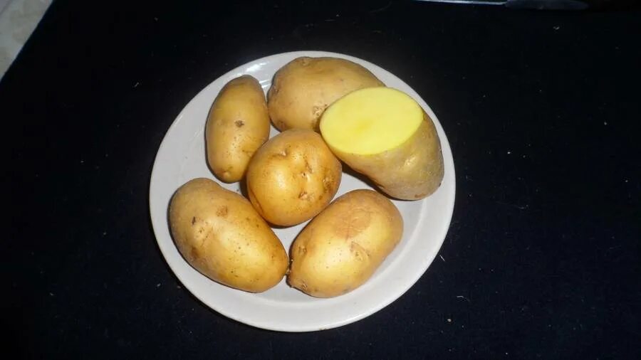 Сорт картошки нематодоустойчивые. Картофель белый лебедь. Осот и картофель в экосистеме. Картофель фаворит описание. Стихи протлебединую верность.