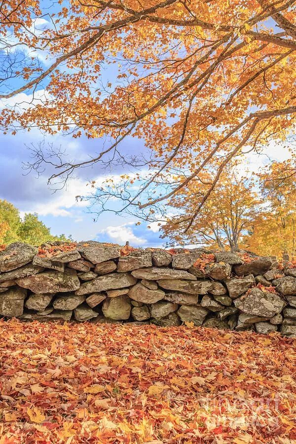 Stone fall. Каменный забор. Осень камни. Осенняя стена. Каменная стена с листьями.