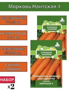 Морковь нантская описание сорта