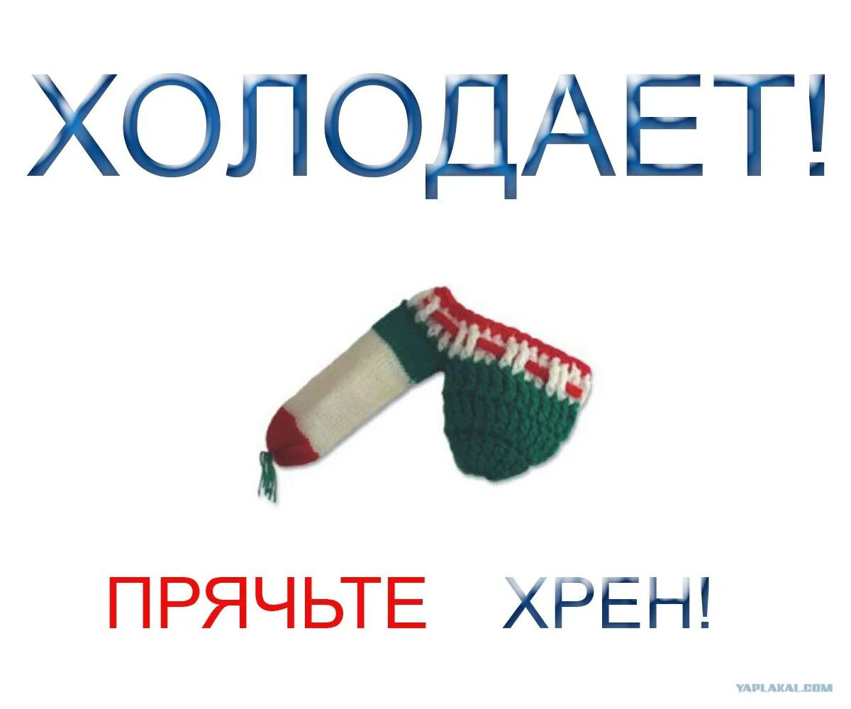 Хрен вам картинки. Хрен вам а не. Хрен вам а не лето. Хрен вам а не Россия. Ништяк согревает нас коньяк