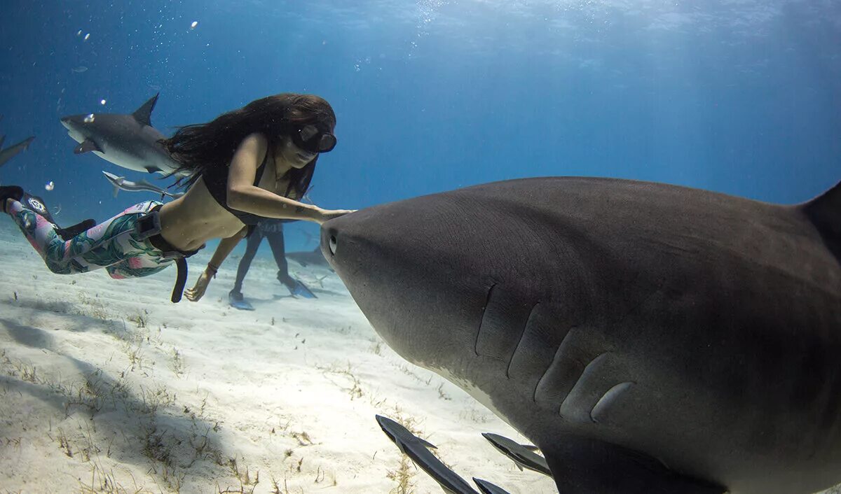 Как называется девочка акула. Мегалодон нападает на маленькую девочку мег монстр глубины 2018. Имя для акулы. Отмель фильм 2016. Рианна в акуле.