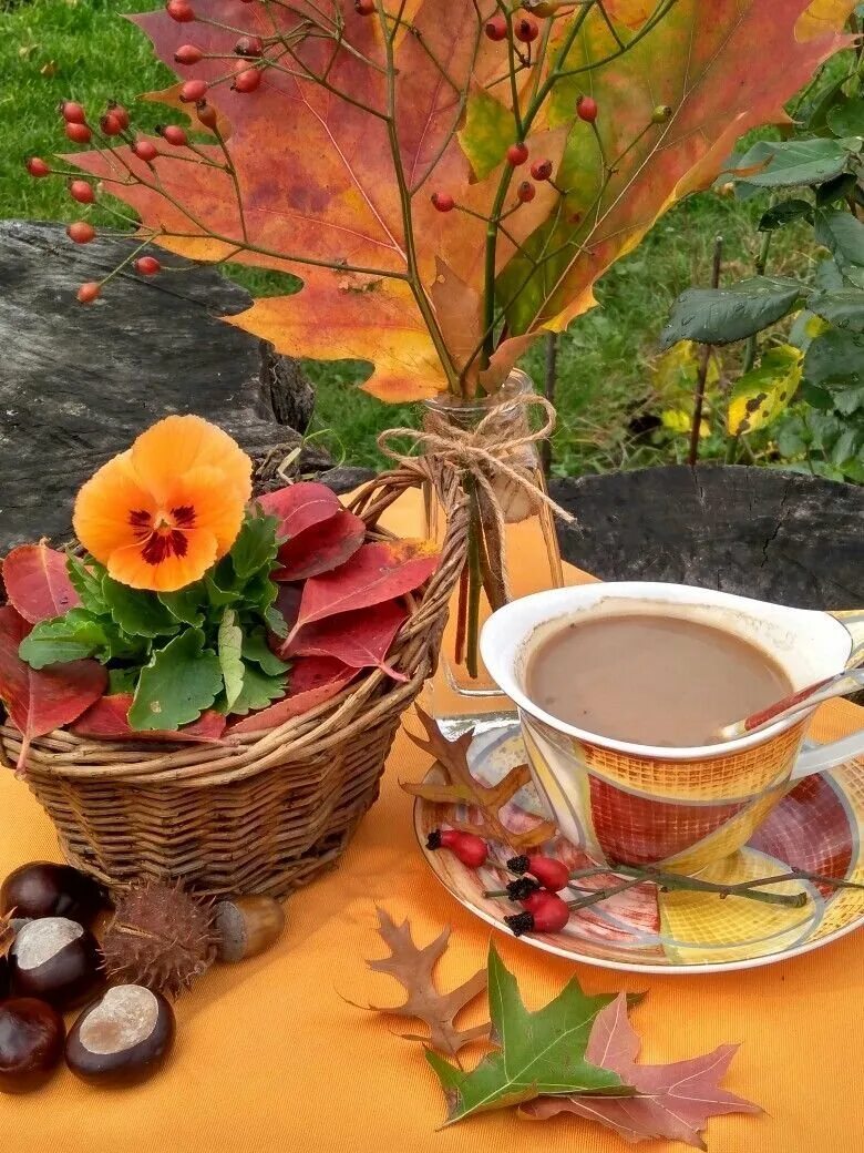 Доброе утро день картинки осенние. Осенний кофе. Осень кофе. Доброе осеннее утро. С добрым осенним утром.