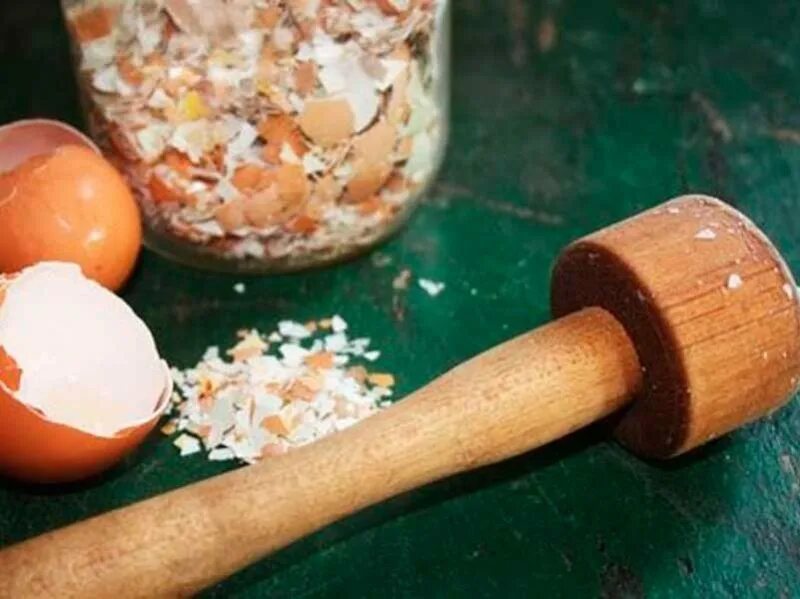 Как молоть скорлупу. Как молоть скорлупу