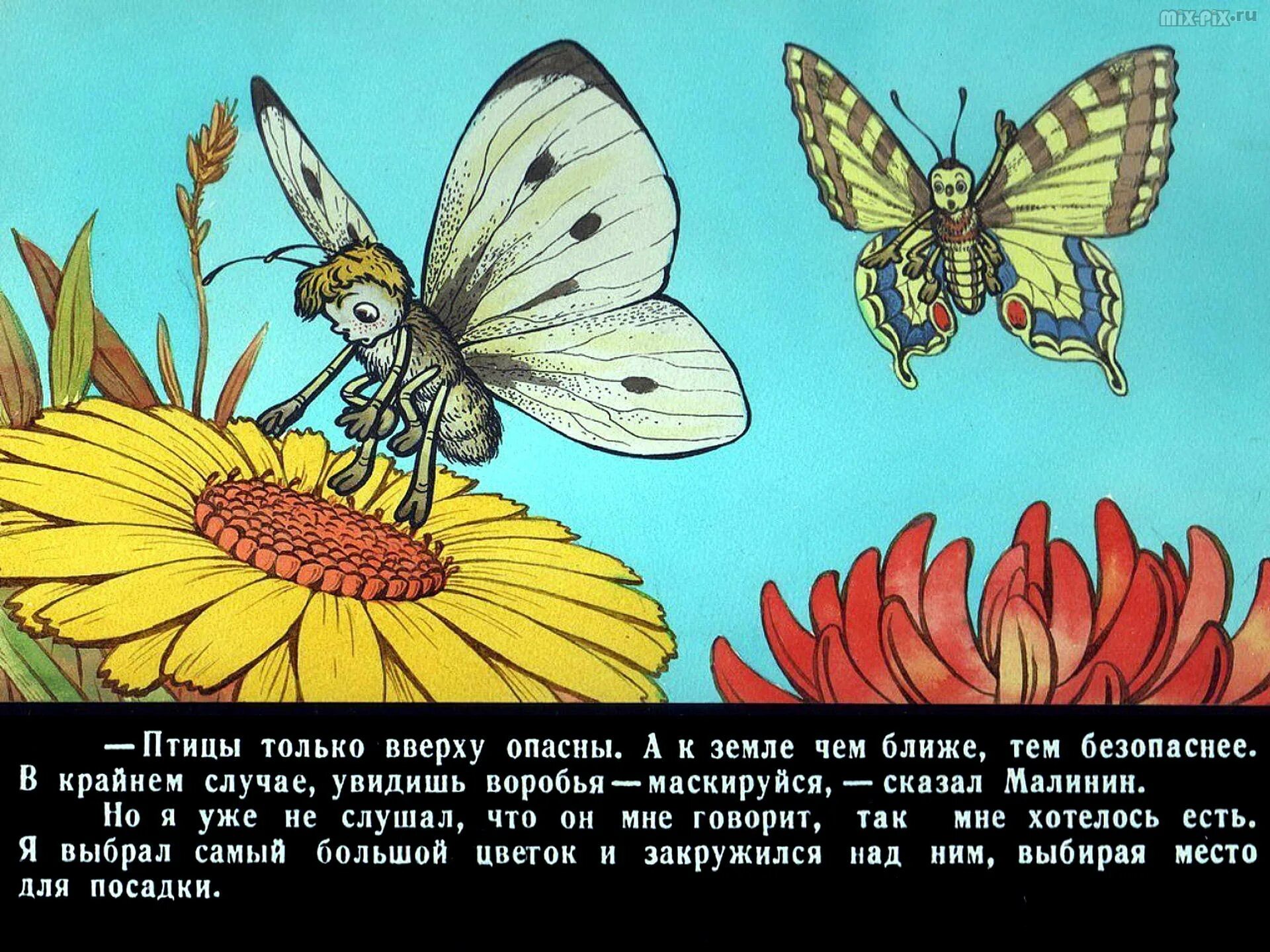 Повесть будь человеком. Иллюстрация к произведению Баранкин будь человеком. Баранкин бабочка. Детские рисунки в.в.Медведев "Баранкин, будь человеком". Баранкин будь человеком бабочки.