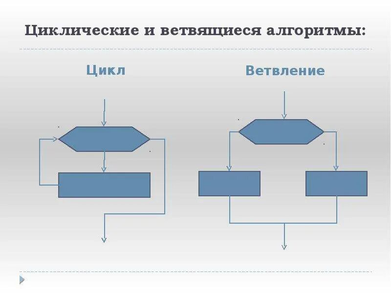 Циклические алгоритмы ветвление. Цикл с ветвлением. Ветвящиеся и циклические алгоритмы. Ветвление в цикле. Циклический алгоритм.