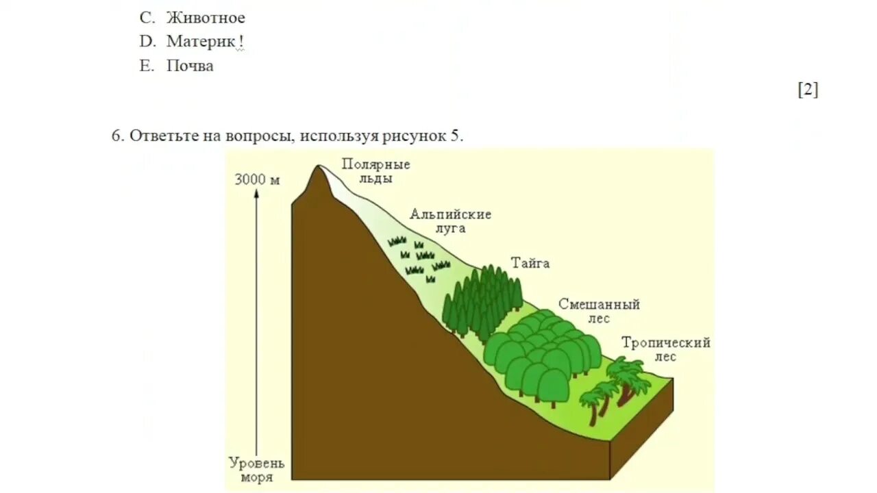 Почему смена природных. Почему смена природных