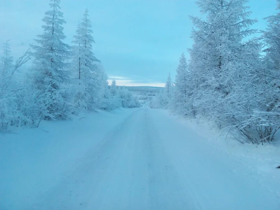 дорога в гору. дорога холода. дорога холода. зимняя дорога в лесу. заснеженная дорога.
