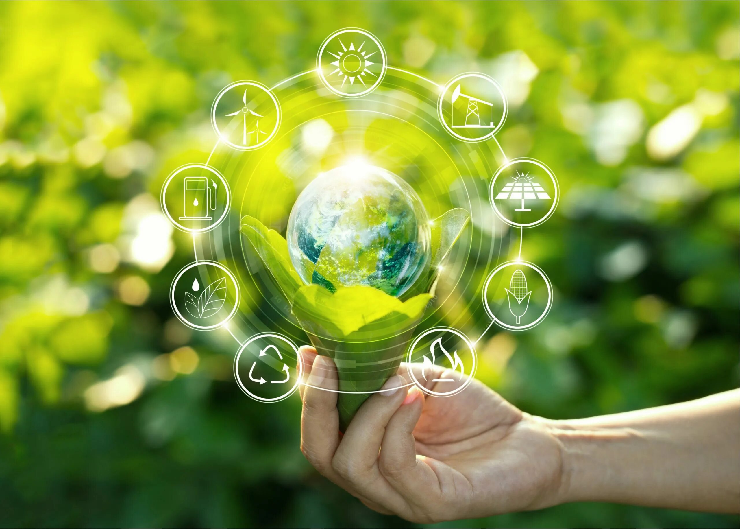Экологические вопросы и развитие. Система экологического менеджмента ISO 14001. Экология. Окружающая среда. Зеленая экономика.