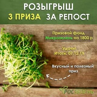 Полезные свойства микрозелени