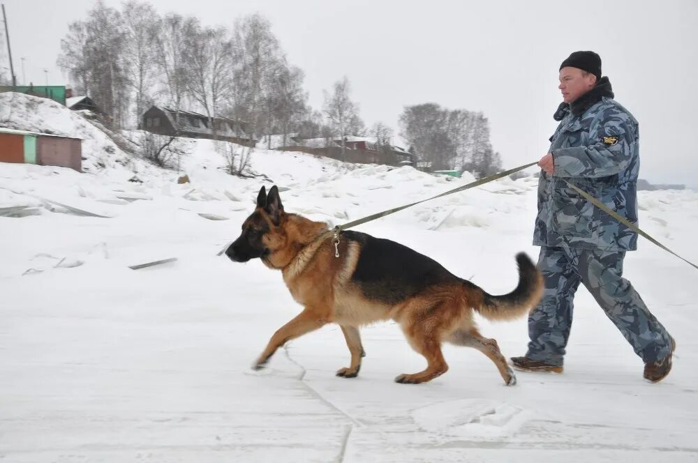 Погода в песочном рыбинский. Ярославская обл. Погода рыбинск сейчас. Поселок песочное рыбинск. Прогноз погоды в рыбинске на сегодня.