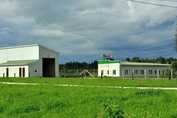 Мираторг агропромышленный холдинг. Акашево птицефабрика. Выборжец ленинградская область. Агрокомплекс 2023. Агрохолдинг великий новгород.