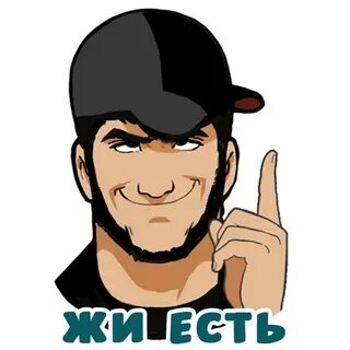 Жи есть это