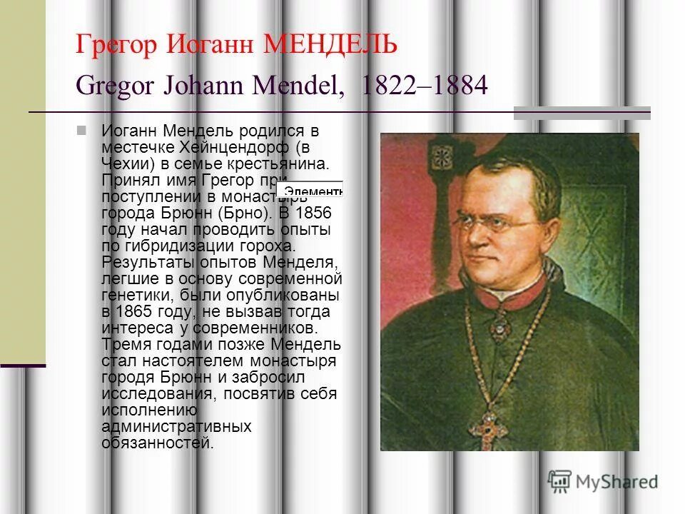 Грегор мендель использовал в своих исследованиях. Грегор мендель использовал в своих исследованиях. Грегор мендель 1822-1884 доклад. Грегор мендель использовал в своих исследованиях. Мендель ученый.