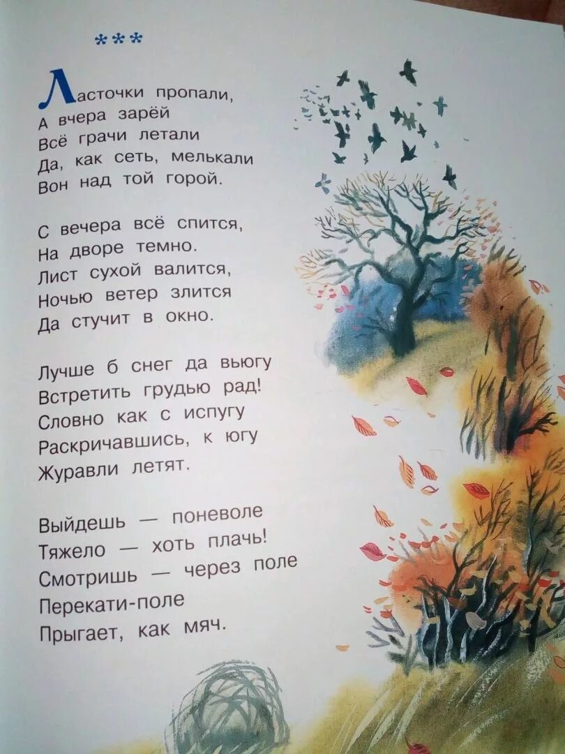 Стихотворение пушкина 6 класс