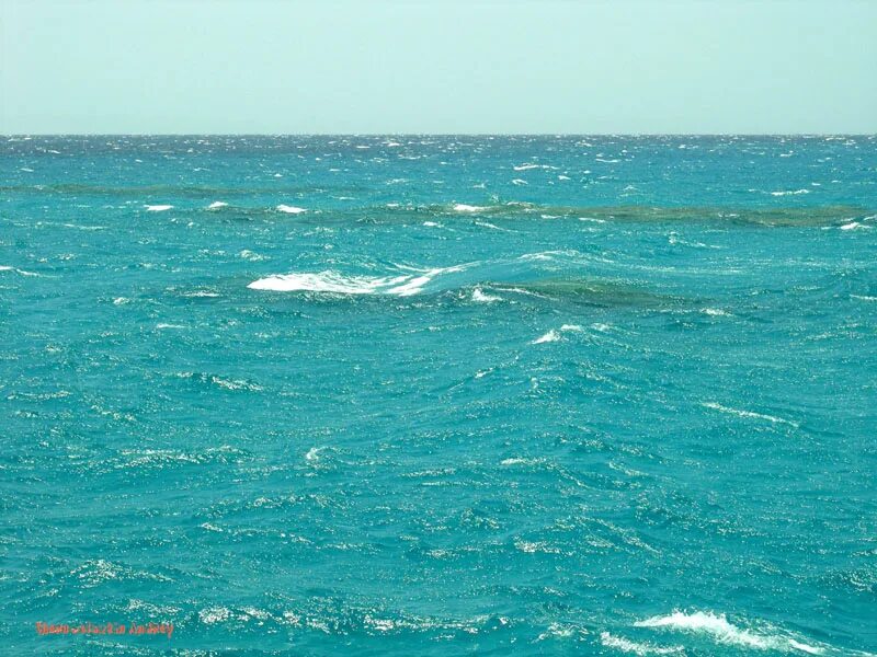 Черное море самое соленое. Самые солёные поверхностные воды океана. Самое соленое море. Соль в море. Море с разным цветом воды фото.