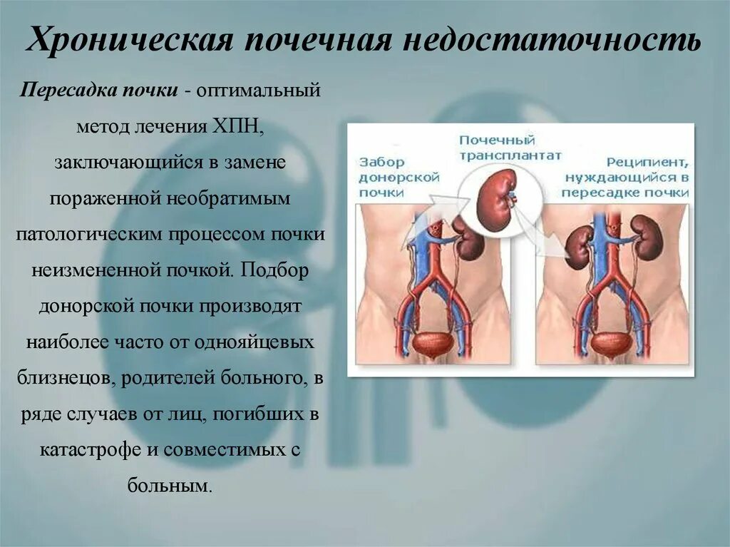 Почему плохие почки