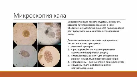 Мыла в кале