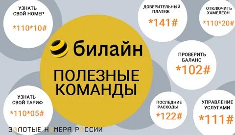 Как узнать телефон операторов билайн
