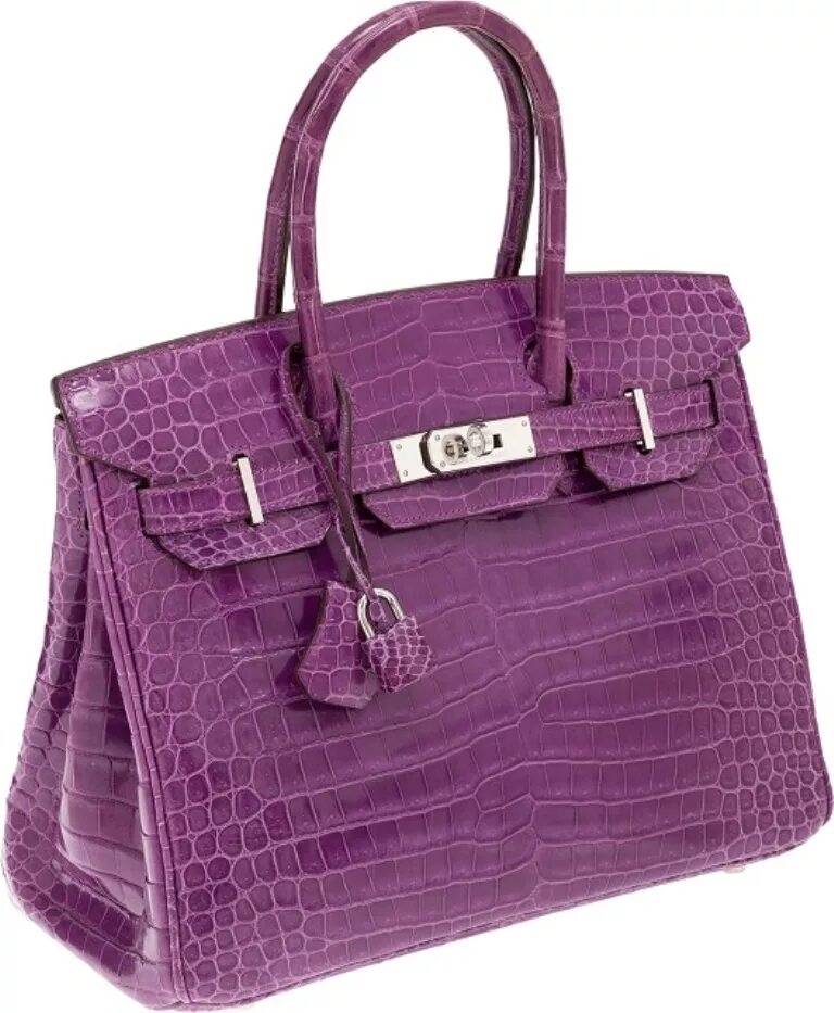 Фирма производитель сумок. Hermes Birkin Crocodile. Hermes Birkin 25. Эрмес Келли 25. Биркин 25 крокодил.