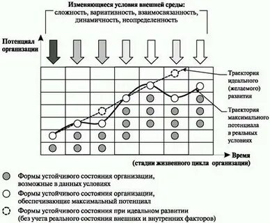 Анализ законов развития организации