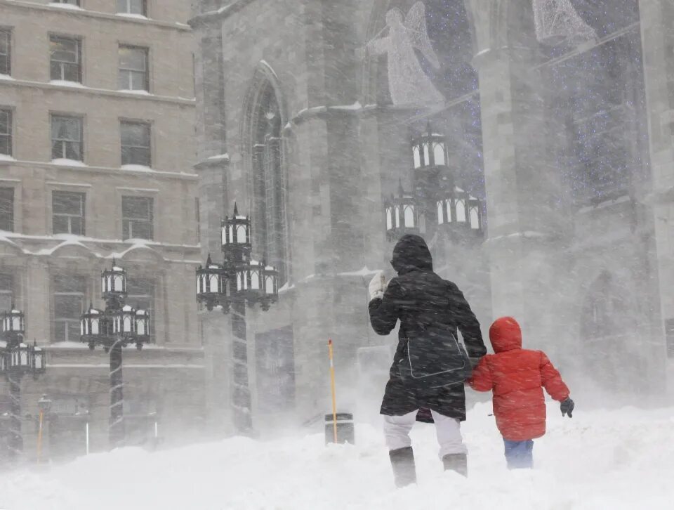 Notre Dame Snow. Old woman Snow Storm. Появление снежной доски.