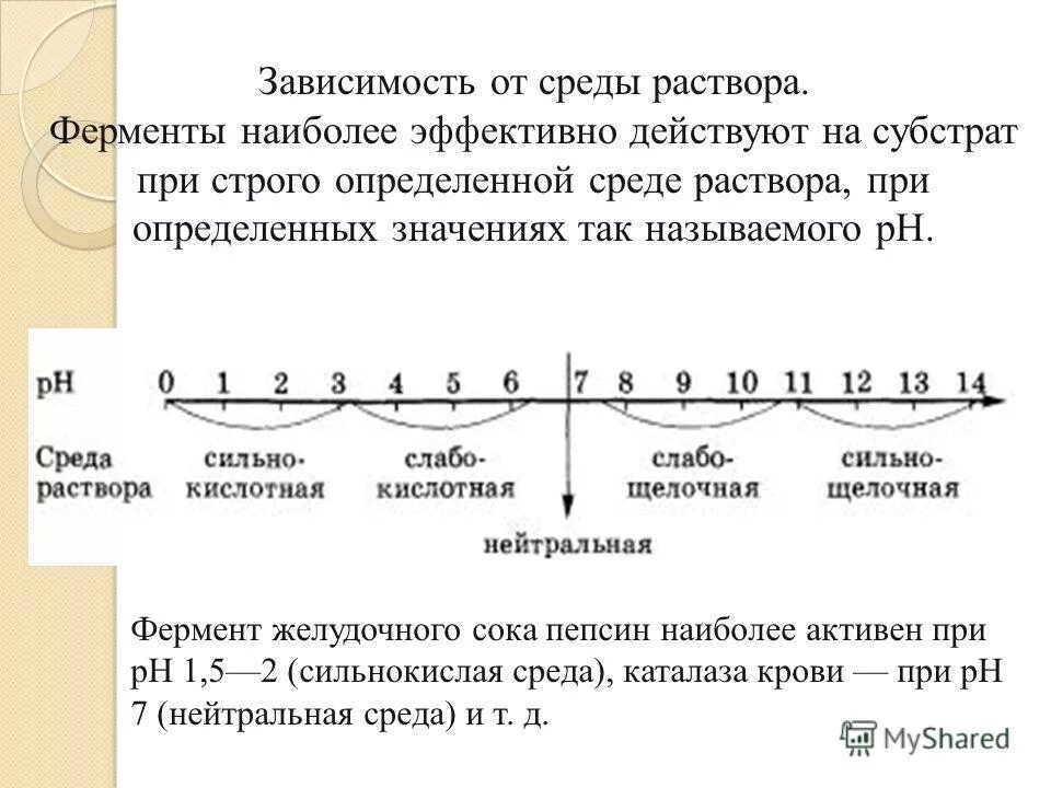 Ферменты щелочной среды