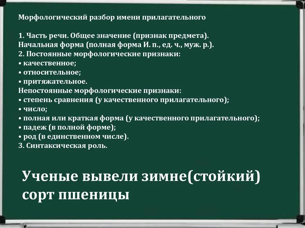 Морфологический анализ прилагательного пример. Морфологический разбор прилагательного. Морфологический разбор прилагательного в сравнительной степени. План морфологического разбора прилагательного. Признаки прилагательного морфологический разбор.