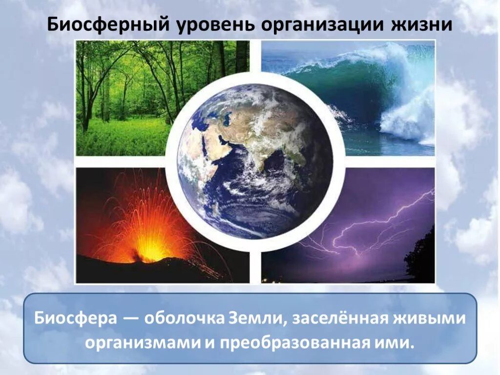 Загрязнение биосферы. Биосферный уровень. Биосфера загрязнение биосферы. Биосферный уровень организации.