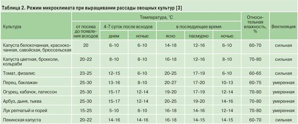 При какой температуре выращивать рассаду капусты. Температура выращивания рассады томатов. Какую температуру выдерживает рассада томатов в теплице. Оптимальная температура для выращивания томатов. Какую температуру выдерживает рассада в открытом грунте.