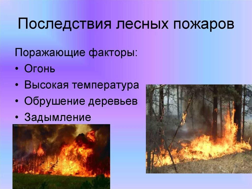 Лесные пожары 2 класс. Последствия лесных пожаров. Природные факторы пожара. Последствия пожара в лесу. Естественные причины пожара в лесу.