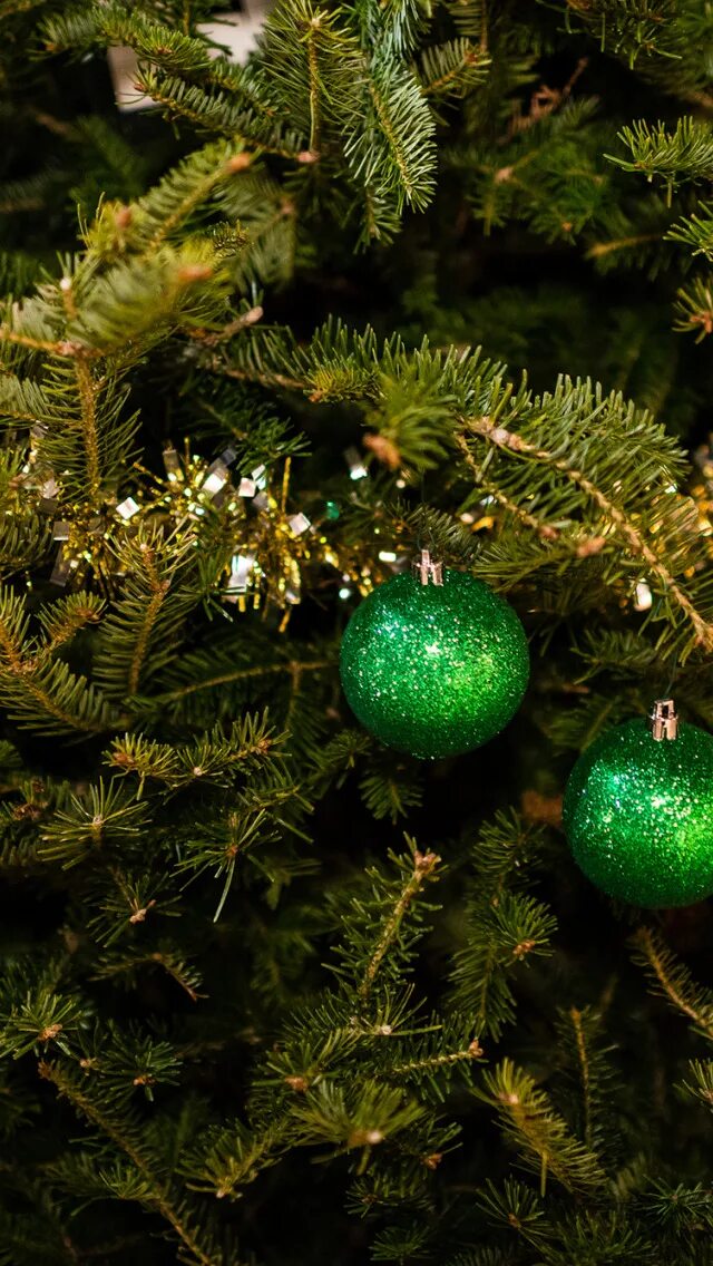 Зеленый цвет ели. Зеленые шары на елке. Елка с игрушками. Елка с зелеными игрушками. Зеленая Новогодняя елка.