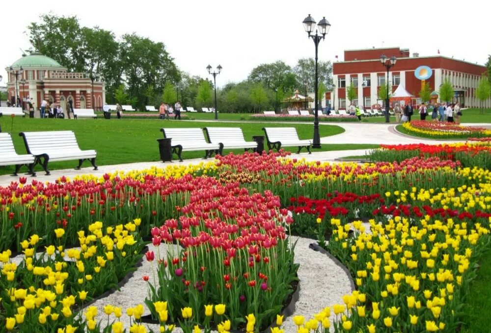 Царицыно вднх. Парк Царицыно цветники. Царицыно парк сад Москва. Парк Царицыно клумбы. Царицынский парк цветники сейчас.
