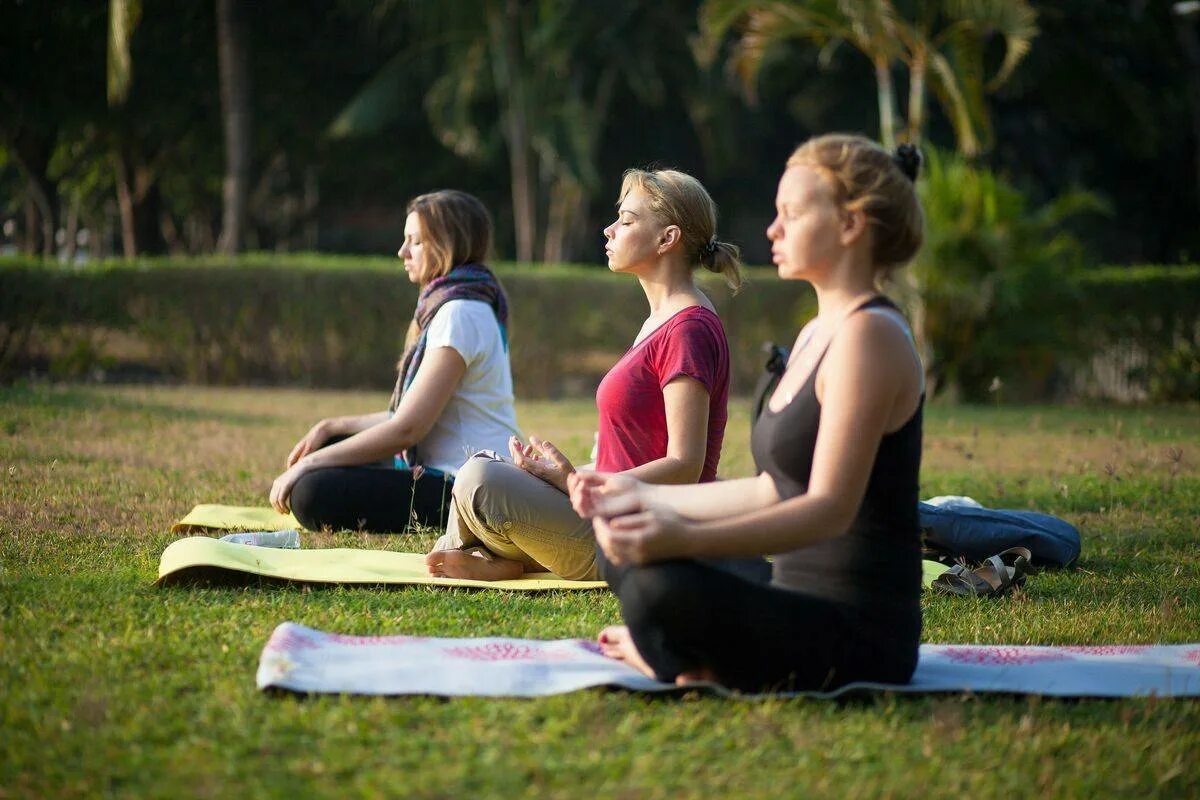 Популярная йога. Занятия йогой на природе. Йога тур. Медитация группа. Групповая медитация на природе.