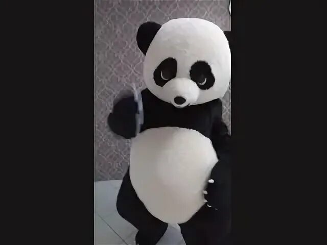 Панда танцует видео