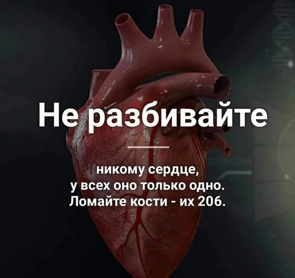 Не разбивайте сердца. Не разбивайте никому сердце у всех оно одно ломайте кости их 206. Цитаты для разбитых сердец.