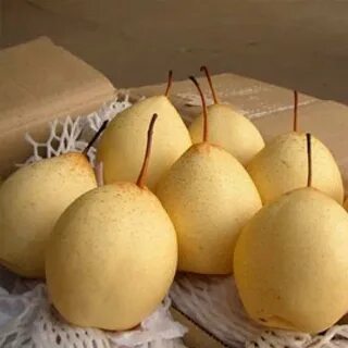 Китайская груша