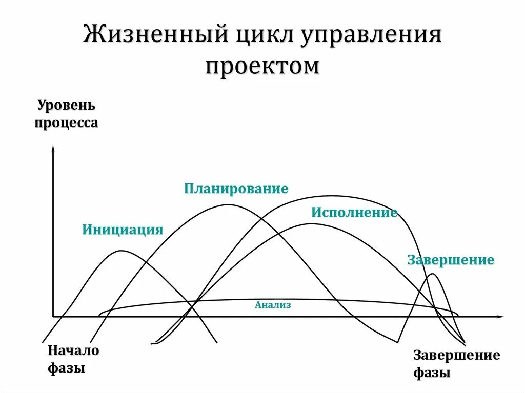 Жизненный цикл управления проектом это. Жизненный цикл управления проектом это